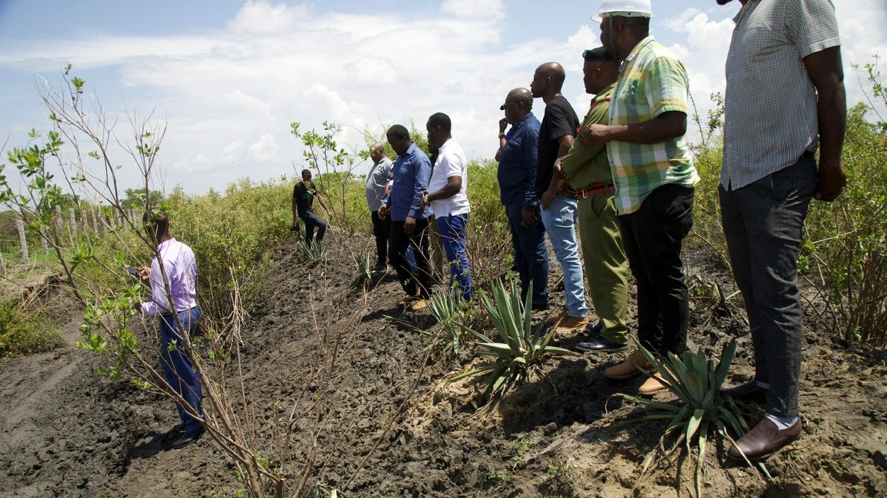 Silinde - Waliofanya Uharibifu katika Shamba la Msimba Wachukuliwe hatua kali