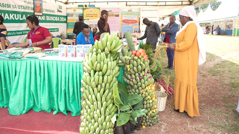 TARIBANI 4 na FHIA NI MKOMBOZI WA WAKULIMA WA NDIZI GAGERA