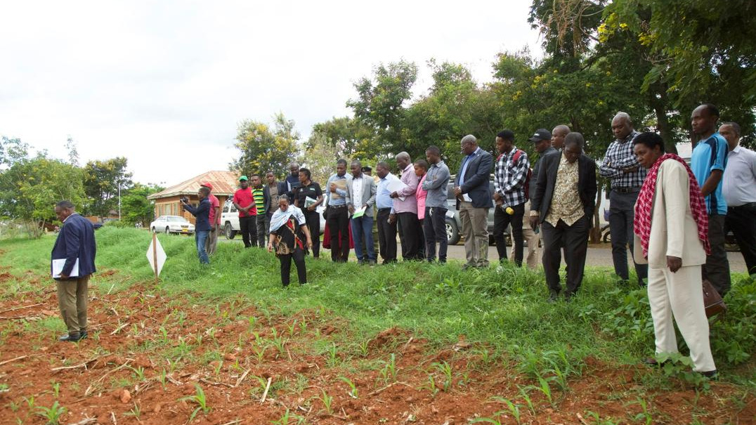 KAMATI YA KUDUMU YA BUNGE YA KILIMO YAFANYA ZIARA MKOANI IRINGA